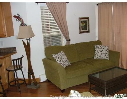 Condo in Silver Queen Condo, Wildernest, CO — photo 6 (MLS S375459)