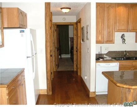 2436 Ryan Gulch Court 2436 photo 7