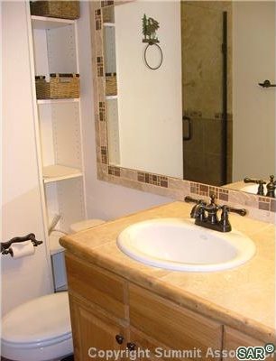 2436 Ryan Gulch Court 2436 photo 9