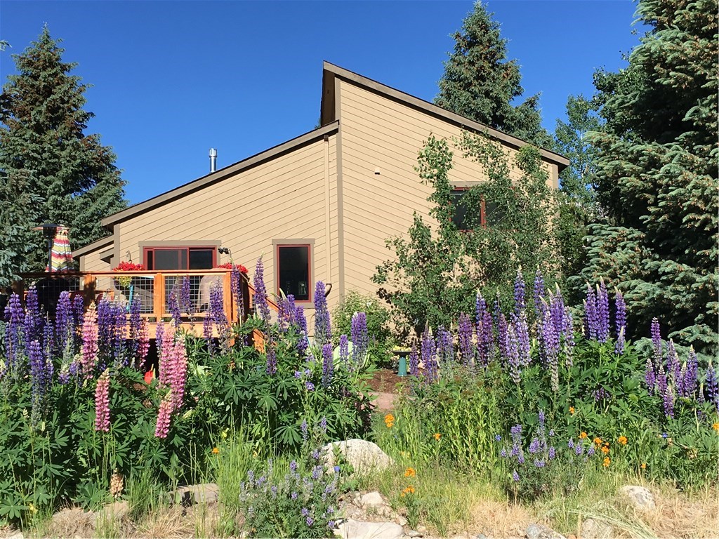 1570 S Badger Ln, Silverthorne, CO — main photo