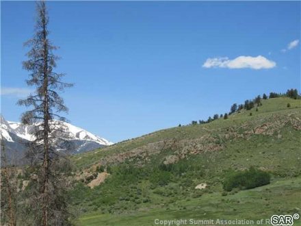 Land in Dillon Valley Sub, Dillon, CO — photo 6 (MLS S375510)