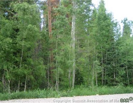 Land in Cortina Sub, Silverthorne, CO — photo 1 (MLS S375546)