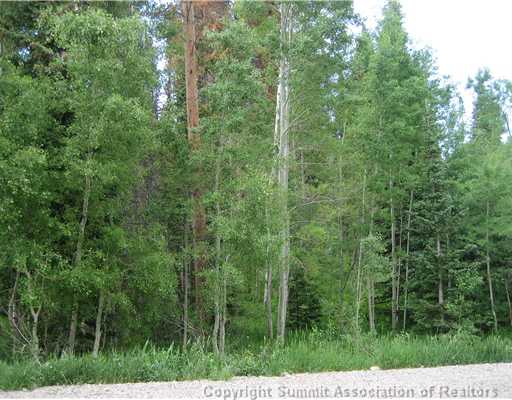203 Elk Thistle Dr, Silverthorne, CO — main photo