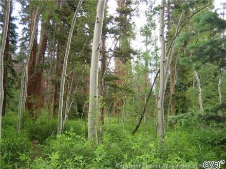Land in Cortina Sub, Silverthorne, CO — photo 2 (MLS S375546)