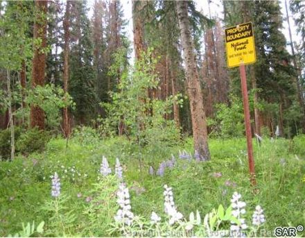 Land in Cortina Sub, Silverthorne, CO — photo 3 (MLS S375546)