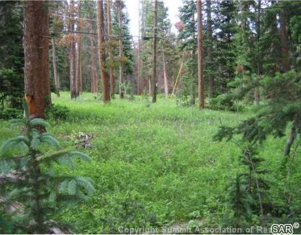 Land in Cortina Sub, Silverthorne, CO — photo 4 (MLS S375546)