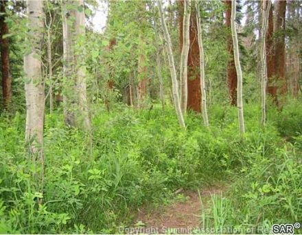 Land in Cortina Sub, Silverthorne, CO — photo 5 (MLS S375546)