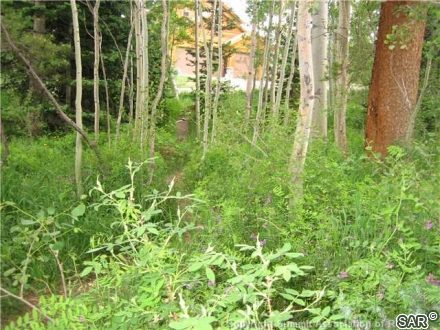 Land in Cortina Sub, Silverthorne, CO — photo 6 (MLS S375546)