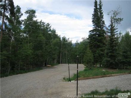 203 Elk Thistle Drive photo 8