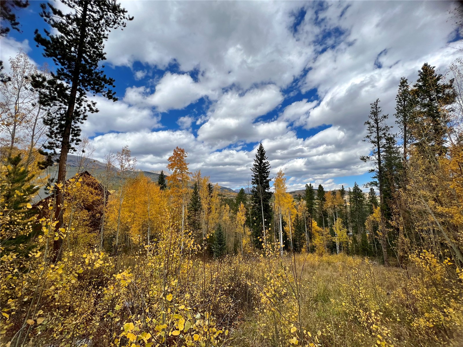 1078 American Way Rd, Breckenridge, CO — main photo