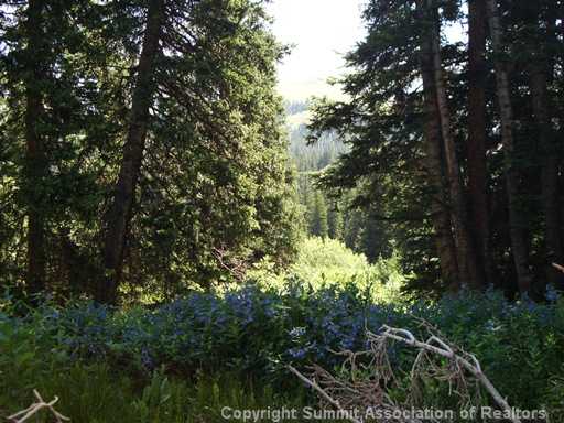 1370 Hwy 9 Cord, Breckenridge, CO — main photo