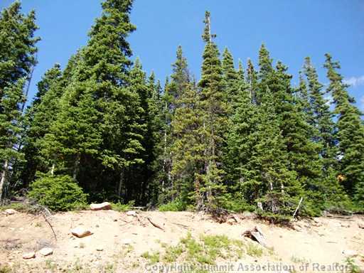 101 Cr 856 Cord, Breckenridge, CO — main photo
