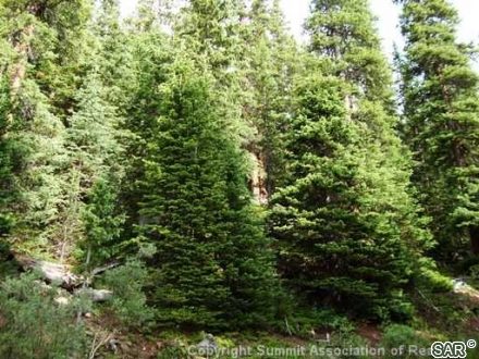 Land in Alpine Breckenridge Sub, Breckenridge, CO — photo 3 (MLS S375599)