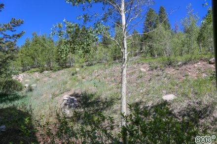71 Antlers Gulch Rd photo 33