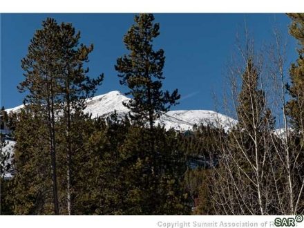 Townhome in Warriors Ridge Townhomes, Breckenridge, CO — photo 6 (MLS S375671)