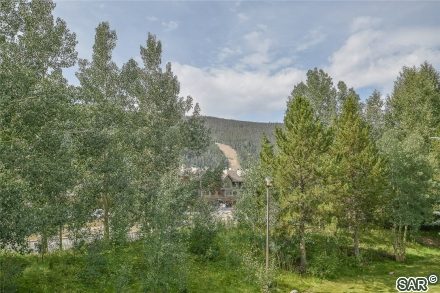 Duplex in Enclave At Keystone Mountain Condo, Keystone, CO — photo 4 (MLS S375672)