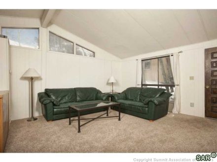 27 Magnum Bonum Dr photo 15