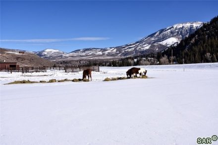 66 Oasis Ranch Rd photo 24