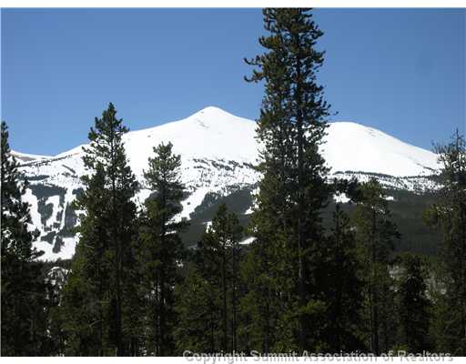 94 Cnty 452 Rd, Breckenridge, CO — main photo