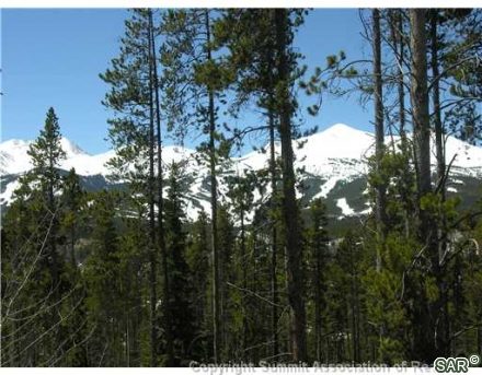 Land in Eagle Sub, Breckenridge — photo 2 Land in Eagle Sub, Breckenridge, CO — photo 2 (MLS S375848)