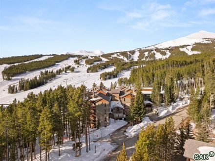 Condo in Skiwatch Condo, Breckenridge, CO — photo 1 (MLS S375852)