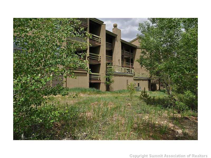 101 Ryan Gulch Ct, Wildernest, CO — main photo
