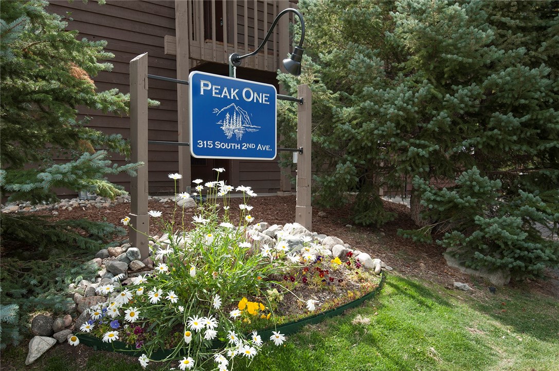 315 S 2nd Ave, Frisco, CO — main photo