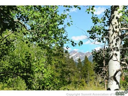 293 Caravelle Drive photo 20
