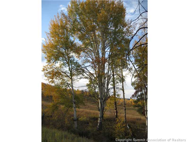 145 Game Trail Rd, Silverthorne, CO — main photo