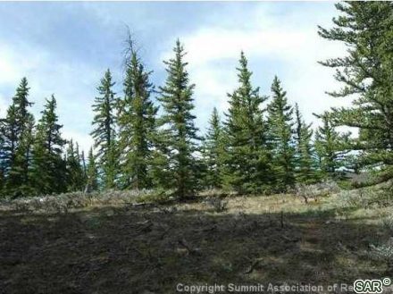 Land in Whispering Pines Ranch Sub, Dillon — photo 1 Land in Whispering Pines Ranch Sub, Dillon, CO — photo 1 (MLS S376179)