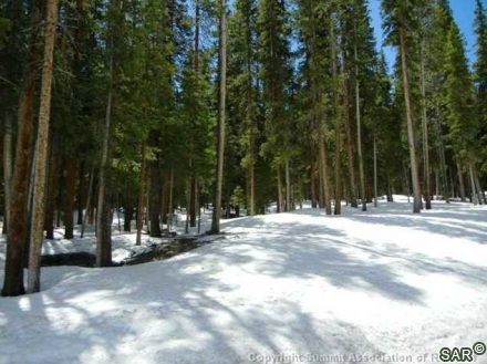 670 Whispering Pines Cir photo 14
