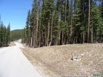 Land in Timber Creek Estates, Breckenridge, CO — photo 5 (MLS S376181)