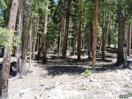 Land in Timber Creek Estates, Breckenridge, CO — photo 6 (MLS S376181)