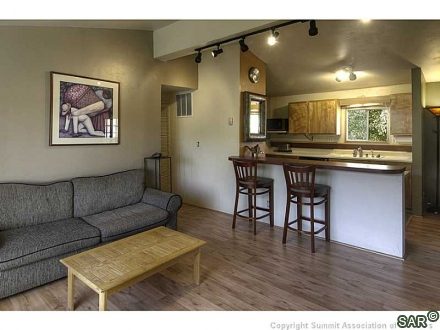 Home in French Creek, Breckenridge, CO — photo 6 (MLS S376216)