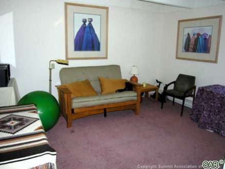 Condo in Mill Run Condo, Breckenridge, CO — photo 6 (MLS S376253)