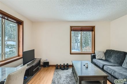Condo in Wildflower Condo, Breckenridge — photo 4 Condo in Wildflower Condo, Breckenridge, CO — photo 4 (MLS S376255)