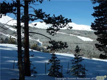 422 Timber Trail Road photo 7