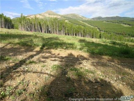 422 Timber Trail Road photo 9