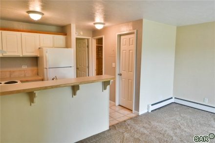 1364 Salt Lick Cir photo 8