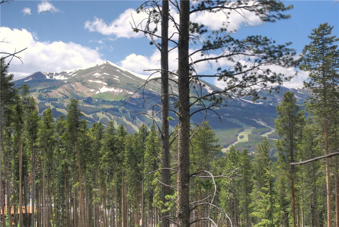206 Stillson Placer Ter, Breckenridge, CO — main photo