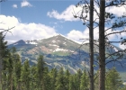 206 Stillson Placer Ter photo 1 206 Stillson Placer Ter photo 1