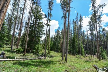 Land in Gold Flake Sub, Breckenridge — photo 4 Land in Gold Flake Sub, Breckenridge, CO — photo 4 (MLS S376372)