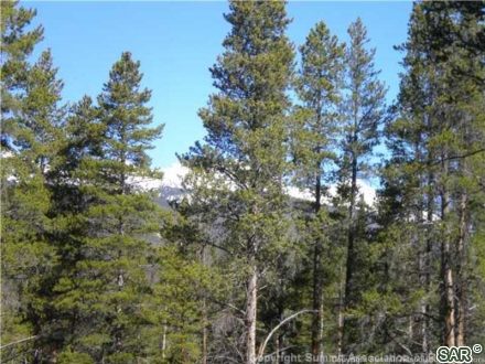 Land in Shock Hill, Breckenridge — photo 4 Land in Shock Hill, Breckenridge, CO — photo 4 (MLS S376394)
