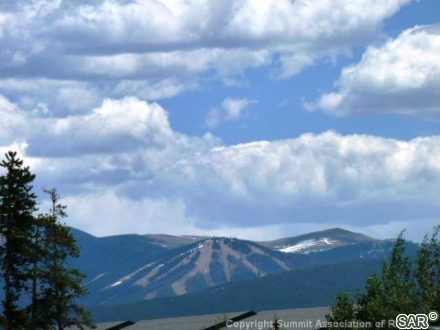 Duplex in Aspenwood Mountain Homes, Wildernest, CO — photo 2 (MLS S376455)