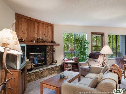 Condo in Salt Lick Condo, Wildernest, CO — photo 6 (MLS S376465)
