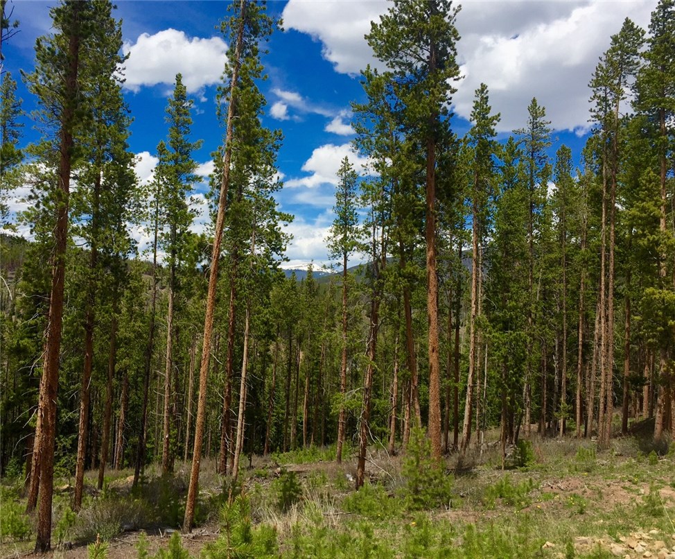 369 Outta Bounds Dr, Breckenridge, CO — main photo