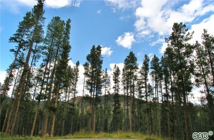 Land in Summit Estates, Breckenridge, CO — photo 2 (MLS S376626)