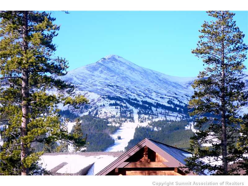 38 Wild Cat Rd, Breckenridge, CO — main photo