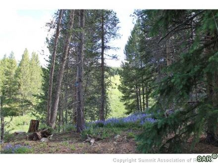 Land in Lewis Ranch At Copper Mtn, Copper Mountain, CO — photo 2 (MLS S376955)