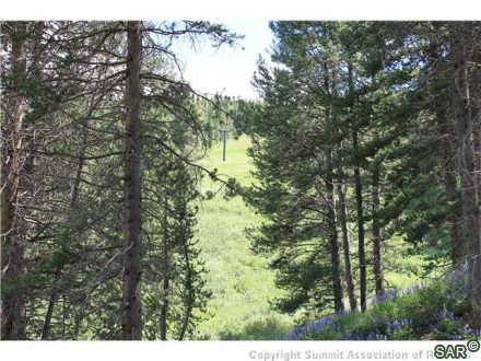 Land in Lewis Ranch At Copper Mtn, Copper Mountain, CO — photo 3 (MLS S376955)